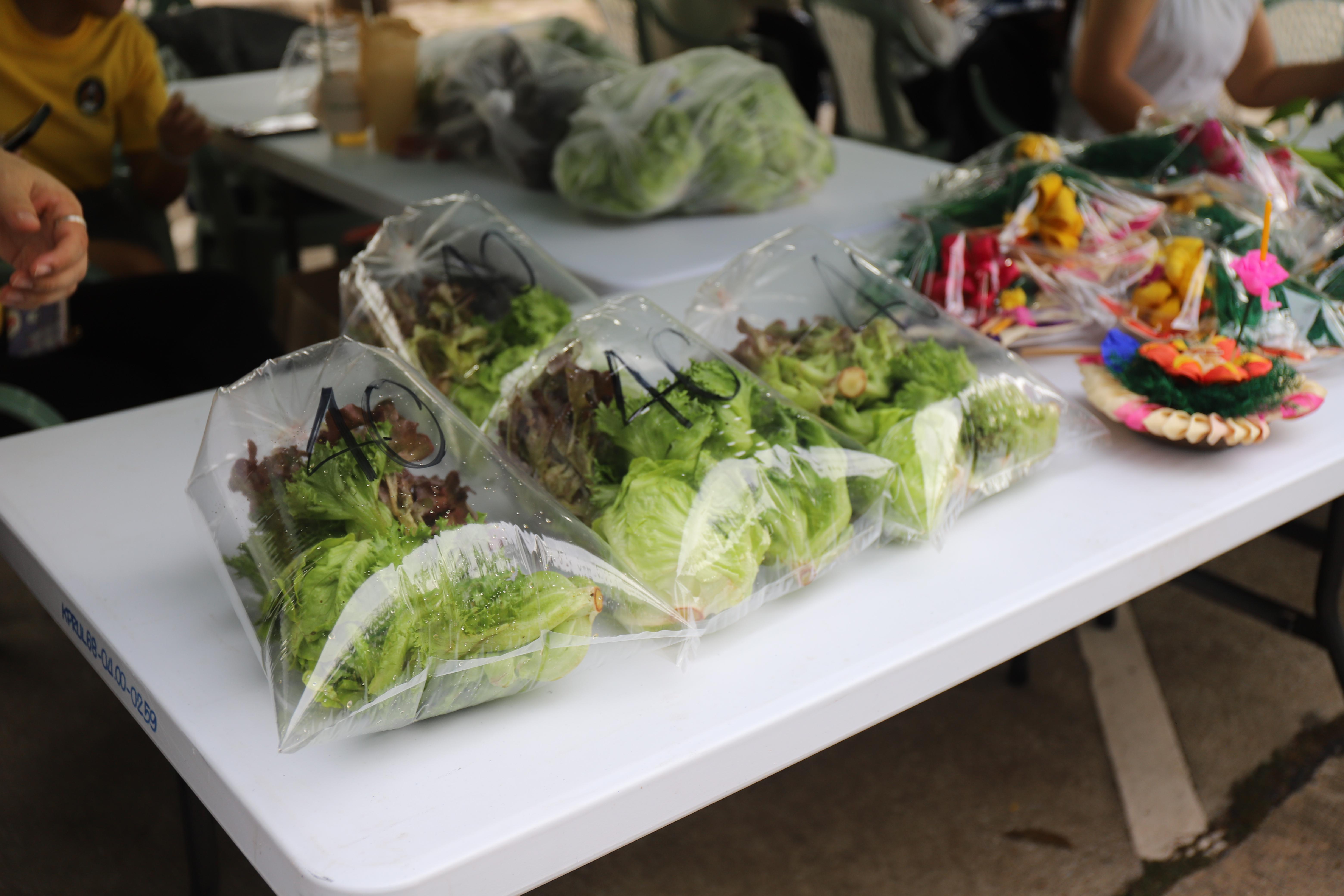 21. ตลาดสีเขียว ถนนคนเดิน KPRU GREEN PING ถนนวัฒนธรรม วิถีคนชากังราว